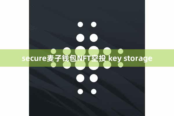 secure麦子钱包NFT空投 key storage