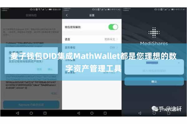 麦子钱包DID集成MathWallet都是您理想的数字资产管理工具