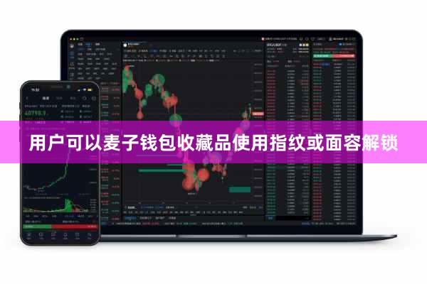 用户可以麦子钱包收藏品使用指纹或面容解锁