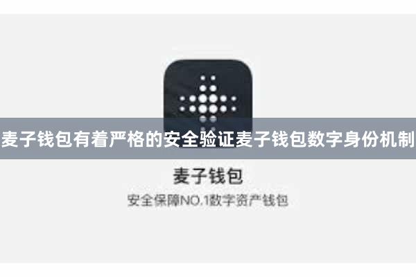 麦子钱包有着严格的安全验证麦子钱包数字身份机制
