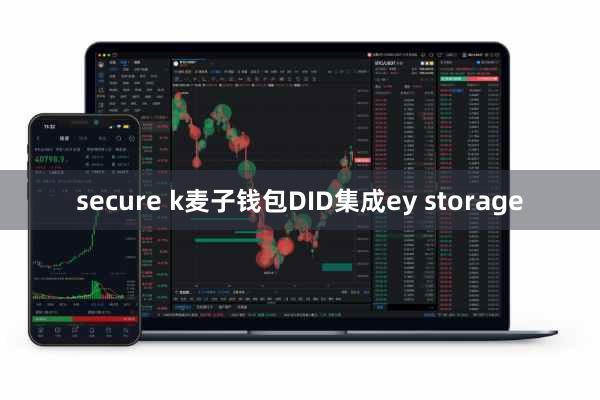secure k麦子钱包DID集成ey storage