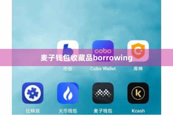 麦子钱包收藏品borrowing