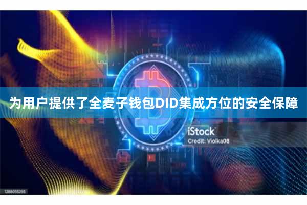 为用户提供了全麦子钱包DID集成方位的安全保障