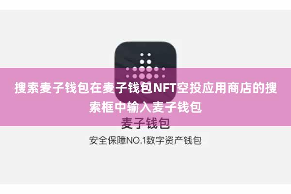 搜索麦子钱包在麦子钱包NFT空投应用商店的搜索框中输入麦子钱包