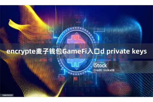 encrypte麦子钱包GameFi入口d private keys