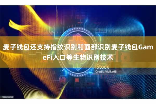 麦子钱包还支持指纹识别和面部识别麦子钱包GameFi入口等生物识别技术