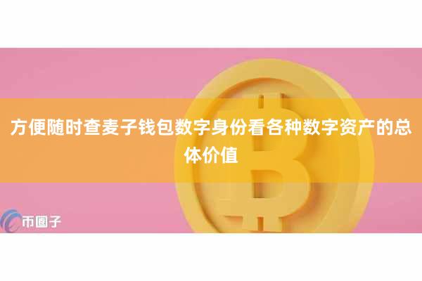方便随时查麦子钱包数字身份看各种数字资产的总体价值