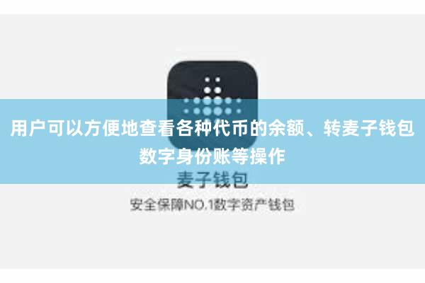 用户可以方便地查看各种代币的余额、转麦子钱包数字身份账等操作