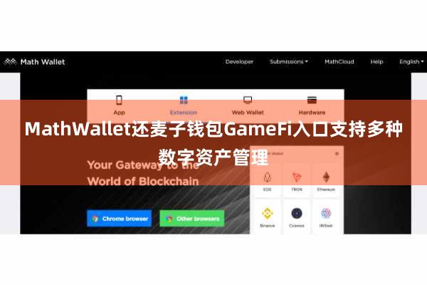 MathWallet还麦子钱包GameFi入口支持多种数字资产管理